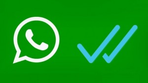 Online Whatsapp 